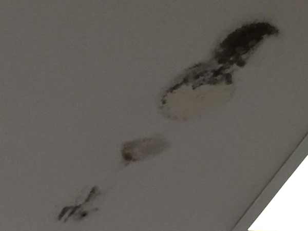 falta-manutencao-upa7site