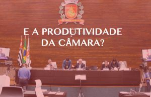 CAMARA-EFEITO-produtividade