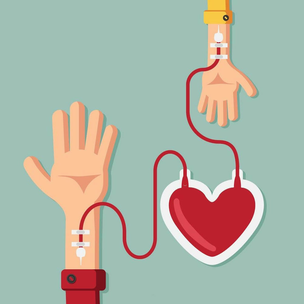 Ilustração de uma doação de sangue